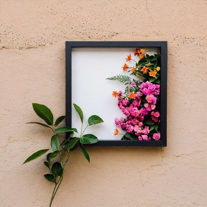 Ajoutez un Cadre Blanc à Vos Photos Facilement