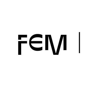 Federation of European Mime (FEM), un mime à Rezé