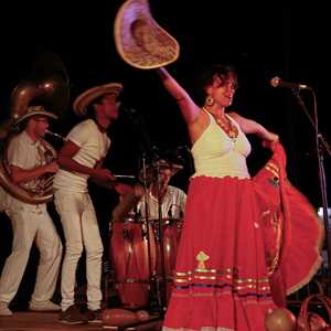 Calle Caribe, un groupe de musiciens à Sète