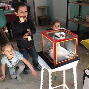 Spectacles 83, un pitre à Cagnes sur Mer