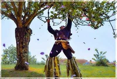 Exemple jongleur n°233 zone Morbihan par jeremie