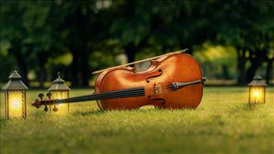 Photo ID 254 avec Perocello pour le thème : musicien