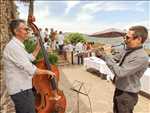 Photo musicien n°872 zone Drôme par tomy