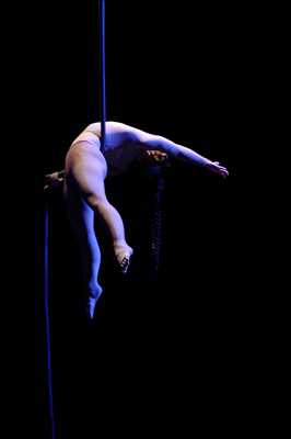 Exemple acrobate n°993 zone Saône et Loire par Penelope